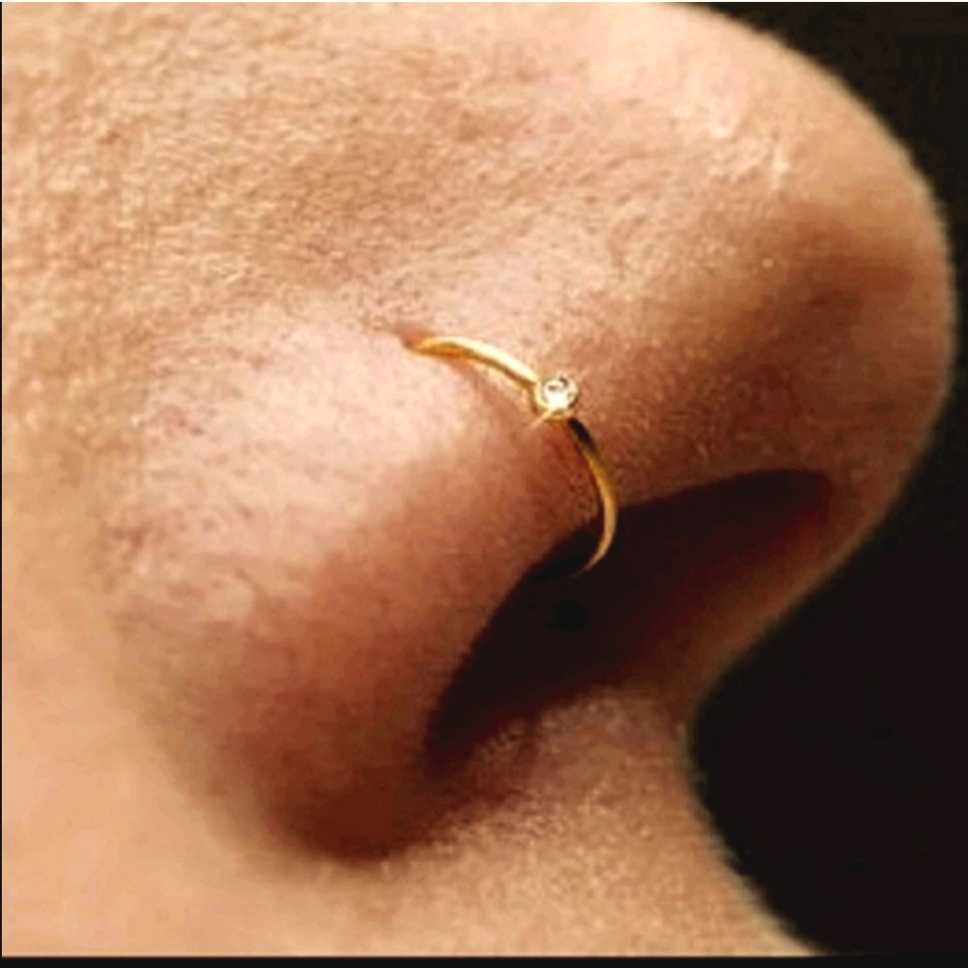 2 Nose Ring Hoops